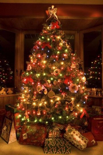 Alberi Di Natale In Vendita.Vendita Case Torino E Il Momento Di Fare L Alberotorino Affari