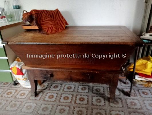 madia