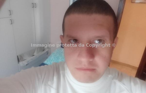Cerco agenzia