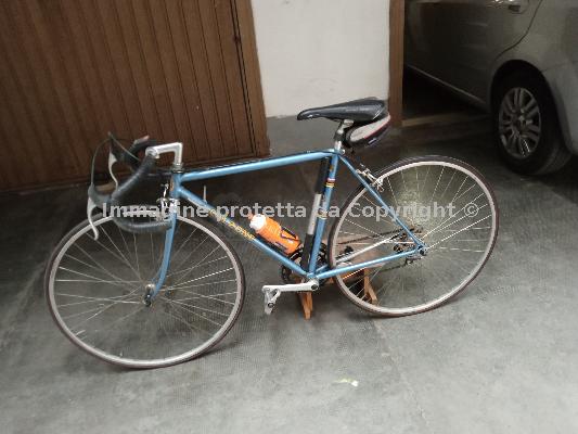 Bici da corsa professionale