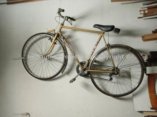 Bici da passeggio