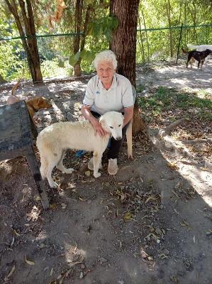 VENDO Cani a Perugia – foto 1
