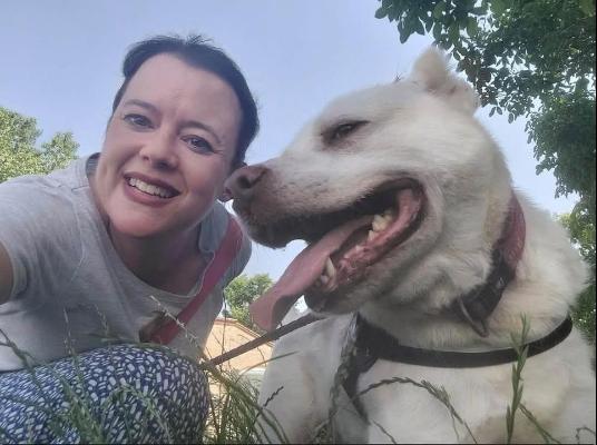 VENDO Cani a Ferrara – foto 1